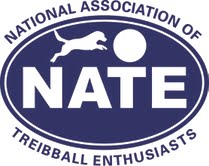 NATE logo final